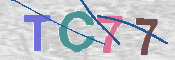 CAPTCHA (Şahıs Denetim Kodu) Resmi