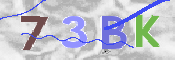 CAPTCHA (Şahıs Denetim Kodu) Resmi