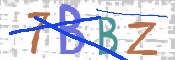 CAPTCHA (Şahıs Denetim Kodu) Resmi