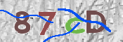 CAPTCHA (Şahıs Denetim Kodu) Resmi