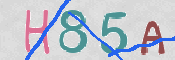 CAPTCHA (Şahıs Denetim Kodu) Resmi