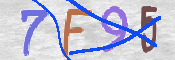 CAPTCHA (Şahıs Denetim Kodu) Resmi