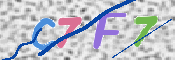 CAPTCHA (Şahıs Denetim Kodu) Resmi