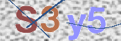 CAPTCHA (Şahıs Denetim Kodu) Resmi