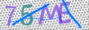 CAPTCHA (Şahıs Denetim Kodu) Resmi