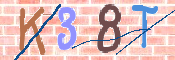 CAPTCHA (Şahıs Denetim Kodu) Resmi