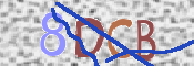 CAPTCHA (Şahıs Denetim Kodu) Resmi