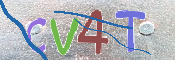 CAPTCHA (Şahıs Denetim Kodu) Resmi