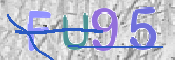 CAPTCHA (Şahıs Denetim Kodu) Resmi