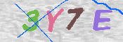 CAPTCHA (Şahıs Denetim Kodu) Resmi