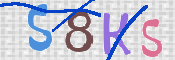CAPTCHA (Şahıs Denetim Kodu) Resmi