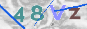CAPTCHA (Şahıs Denetim Kodu) Resmi
