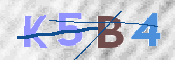 CAPTCHA (Şahıs Denetim Kodu) Resmi