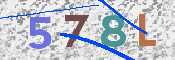 CAPTCHA (Şahıs Denetim Kodu) Resmi