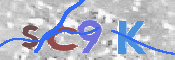 CAPTCHA (Şahıs Denetim Kodu) Resmi