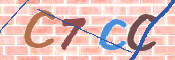 CAPTCHA (Şahıs Denetim Kodu) Resmi
