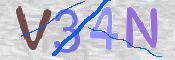 CAPTCHA (Şahıs Denetim Kodu) Resmi