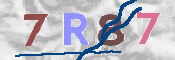 CAPTCHA (Şahıs Denetim Kodu) Resmi