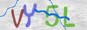 CAPTCHA (Şahıs Denetim Kodu) Resmi