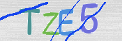 CAPTCHA (Şahıs Denetim Kodu) Resmi