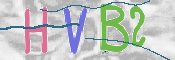 CAPTCHA (Şahıs Denetim Kodu) Resmi