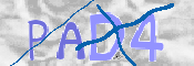CAPTCHA (Şahıs Denetim Kodu) Resmi