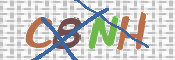 CAPTCHA (Şahıs Denetim Kodu) Resmi