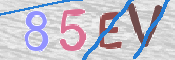 CAPTCHA (Şahıs Denetim Kodu) Resmi