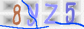 CAPTCHA (Şahıs Denetim Kodu) Resmi