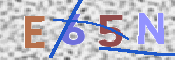 CAPTCHA (Şahıs Denetim Kodu) Resmi