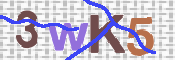 CAPTCHA (Şahıs Denetim Kodu) Resmi