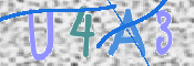 CAPTCHA (Şahıs Denetim Kodu) Resmi