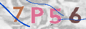 CAPTCHA (Şahıs Denetim Kodu) Resmi