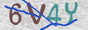CAPTCHA (Şahıs Denetim Kodu) Resmi