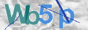 CAPTCHA (Şahıs Denetim Kodu) Resmi