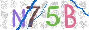 CAPTCHA (Şahıs Denetim Kodu) Resmi