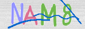 CAPTCHA (Şahıs Denetim Kodu) Resmi