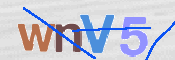 CAPTCHA (Şahıs Denetim Kodu) Resmi
