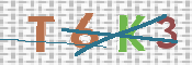 CAPTCHA (Şahıs Denetim Kodu) Resmi