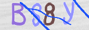CAPTCHA (Şahıs Denetim Kodu) Resmi