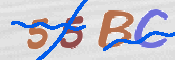 CAPTCHA (Şahıs Denetim Kodu) Resmi