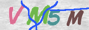 CAPTCHA (Şahıs Denetim Kodu) Resmi