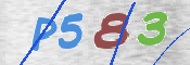 CAPTCHA (Şahıs Denetim Kodu) Resmi