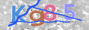 CAPTCHA (Şahıs Denetim Kodu) Resmi