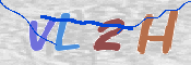 CAPTCHA (Şahıs Denetim Kodu) Resmi