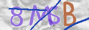 CAPTCHA (Şahıs Denetim Kodu) Resmi