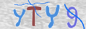 CAPTCHA (Şahıs Denetim Kodu) Resmi