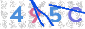CAPTCHA (Şahıs Denetim Kodu) Resmi