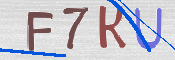 CAPTCHA (Şahıs Denetim Kodu) Resmi