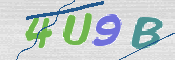 CAPTCHA (Şahıs Denetim Kodu) Resmi